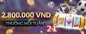 w8821