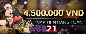 w8821